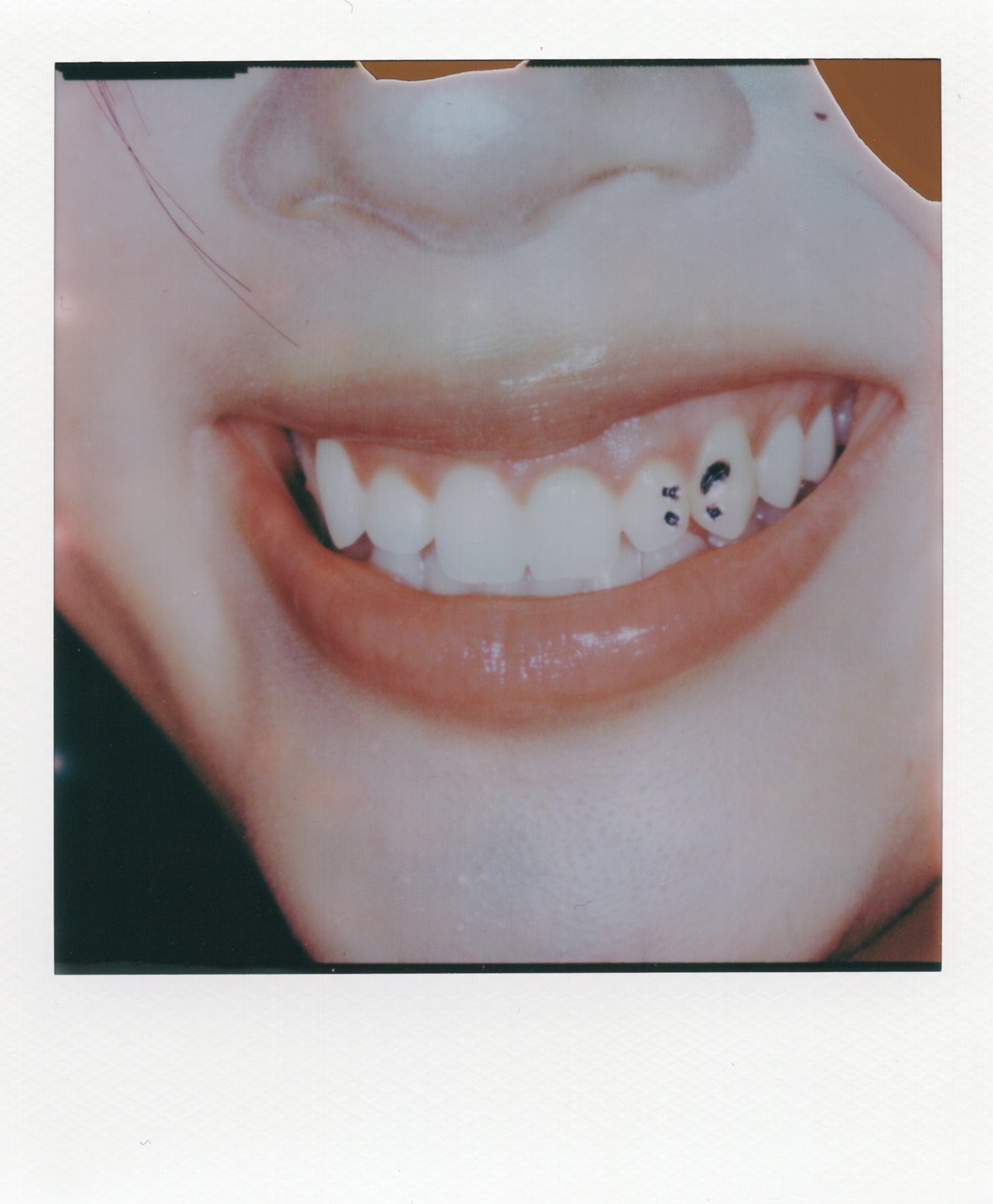 Polaroid photo taken with Polaroid SLR 5 MACRO at O-O Polaroid